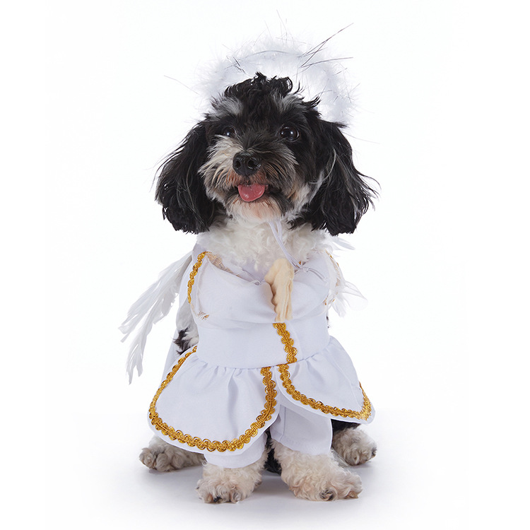 Halloween Dog Costume Collection