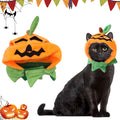 Pumpkin Hat for Cats & Small Dogs