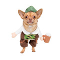 Oktoberfest Dog Costume