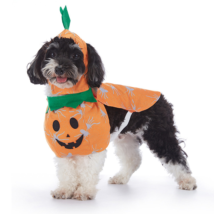 Halloween Dog Costume Collection
