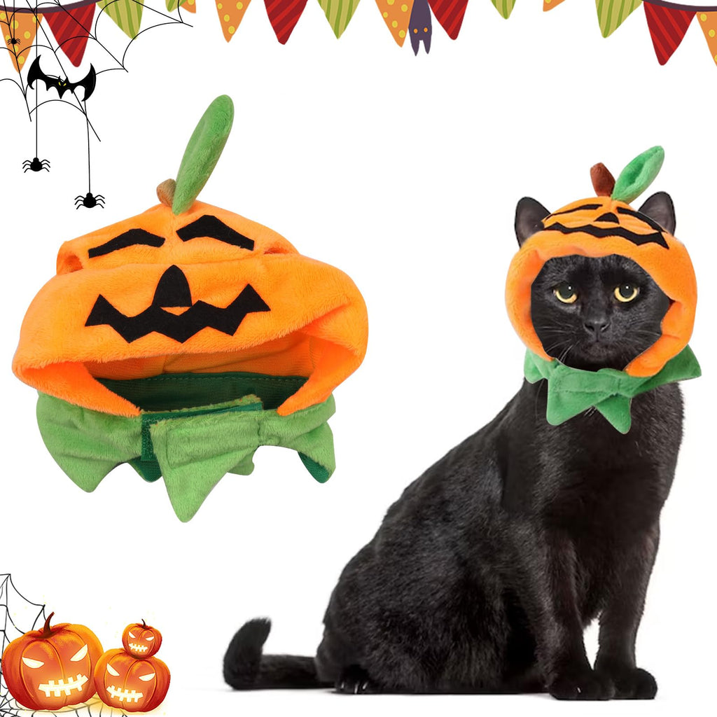 Pumpkin Hat for Cats & Small Dogs